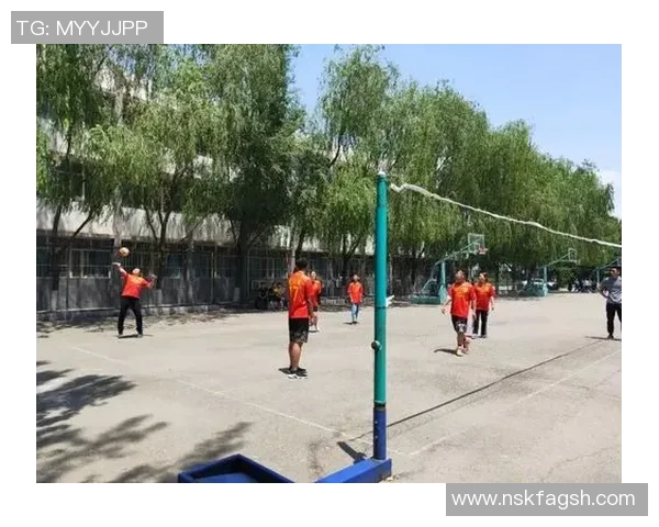 武汉排球队的节奏与激情探讨聚焦排球运动的魅力与发展